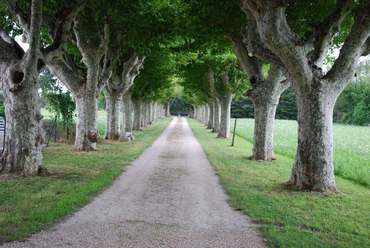 Le Mas Saint Jacques Le Pontet  Kültér fotó