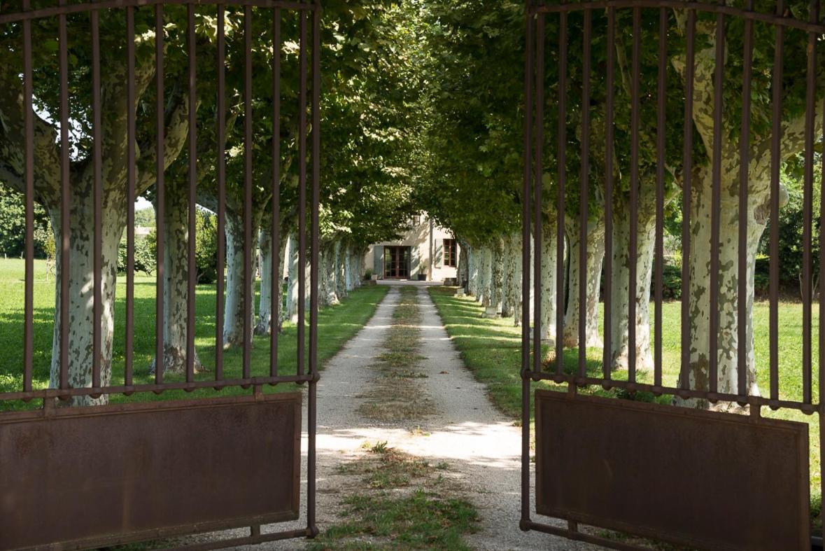 Le Mas Saint Jacques Le Pontet  Kültér fotó